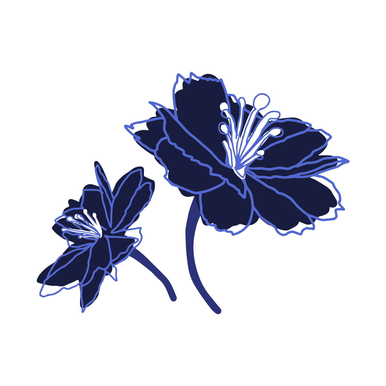 dreißig von dreiunddreißig